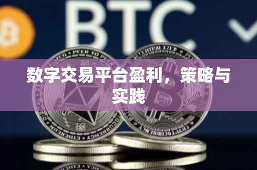 数字交易平台盈利，策略与实践