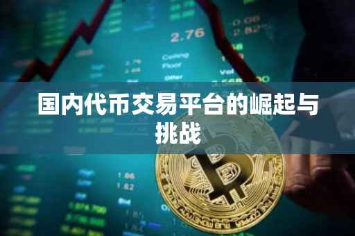 国内代币交易平台的崛起与挑战