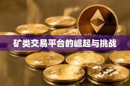 矿类交易平台的崛起与挑战