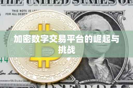 加密数字交易平台的崛起与挑战