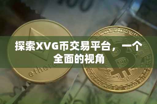 探索XVG币交易平台，一个全面的视角