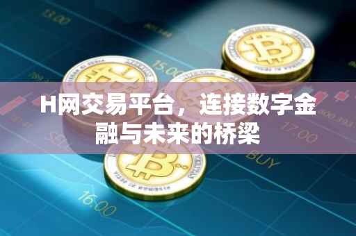 H网交易平台，连接数字金融与未来的桥梁