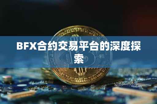 BFX合约交易平台的深度探索