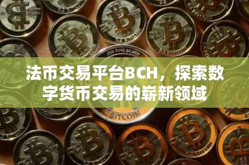 法币交易平台BCH，探索数字货币交易的崭新领域