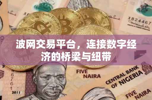 波网交易平台，连接数字经济的桥梁与纽带