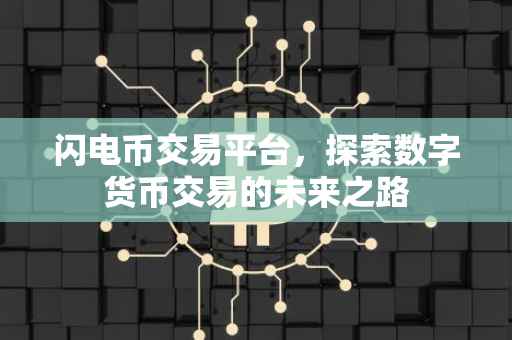 闪电币交易平台，探索数字货币交易的未来之路