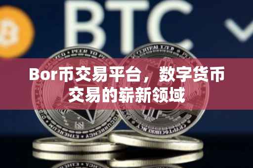 Bor币交易平台，数字货币交易的崭新领域