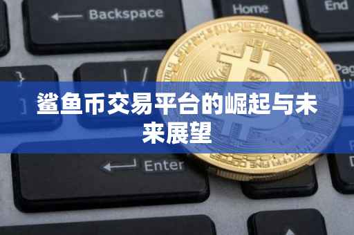 鲨鱼币交易平台的崛起与未来展望