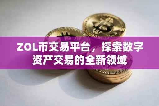 ZOL币交易平台，探索数字资产交易的全新领域