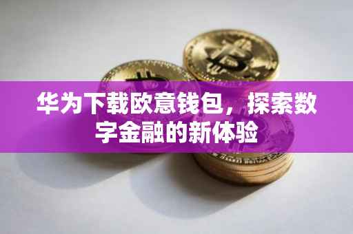 华为下载欧意钱包，探索数字金融的新体验