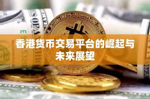 香港货币交易平台的崛起与未来展望