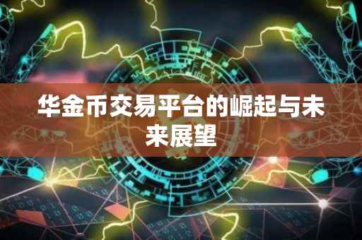 华金币交易平台的崛起与未来展望