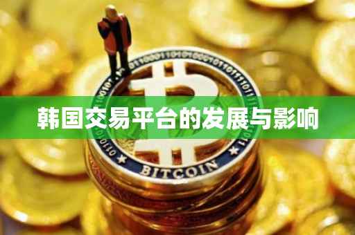 韩国交易平台的发展与影响