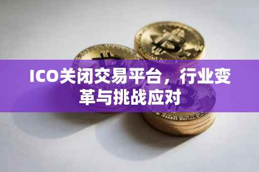 ICO关闭交易平台，行业变革与挑战应对