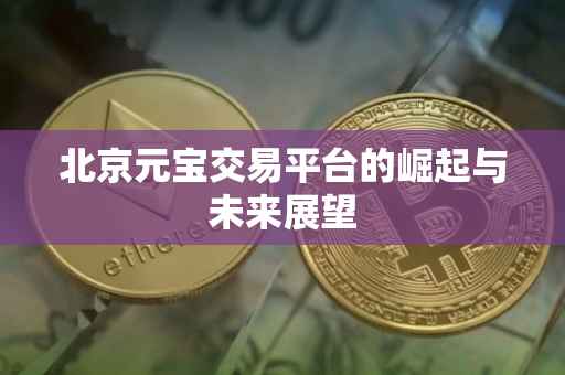 北京元宝交易平台的崛起与未来展望