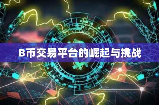 B币交易平台的崛起与挑战