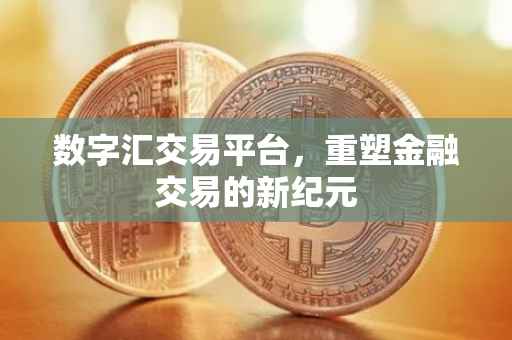 数字汇交易平台，重塑金融交易的新纪元