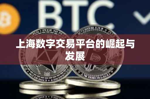 上海数字交易平台的崛起与发展