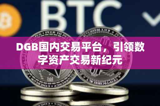 DGB国内交易平台，引领数字资产交易新纪元
