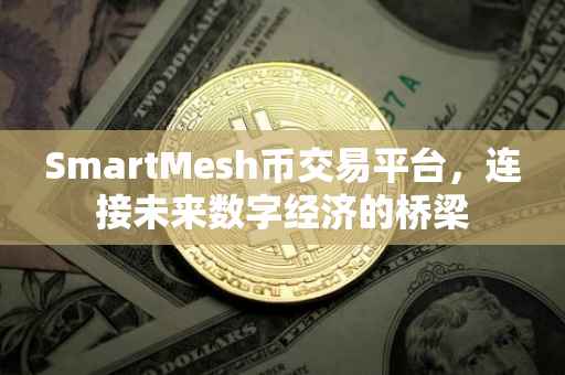 SmartMesh币交易平台，连接未来数字经济的桥梁