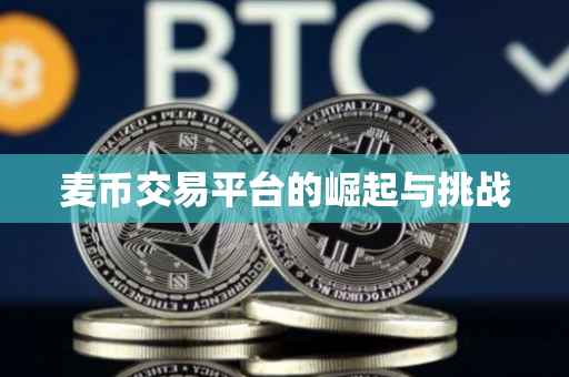 麦币交易平台的崛起与挑战