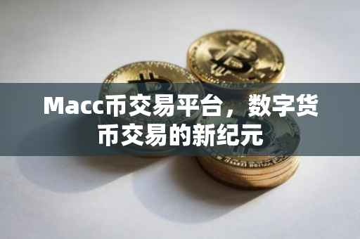 Macc币交易平台，数字货币交易的新纪元