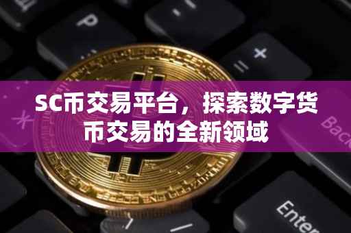 SC币交易平台，探索数字货币交易的全新领域