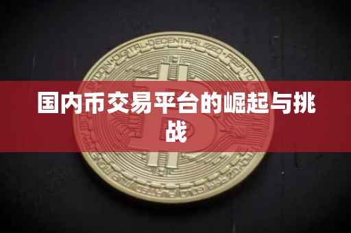 国内币交易平台的崛起与挑战