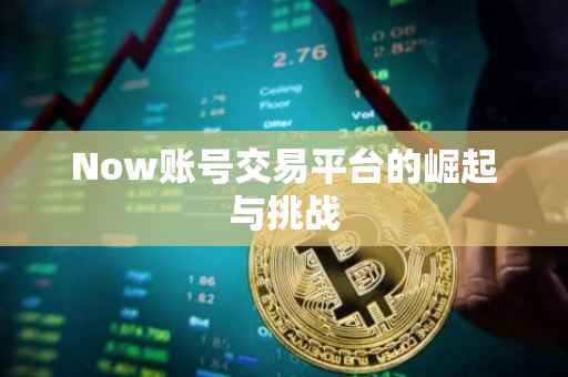 Now账号交易平台的崛起与挑战