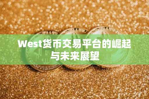 West货币交易平台的崛起与未来展望
