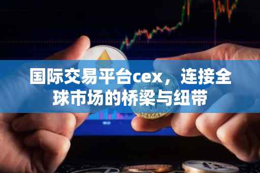 国际交易平台cex，连接全球市场的桥梁与纽带
