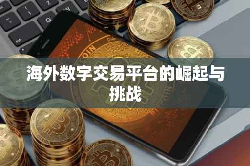 海外数字交易平台的崛起与挑战