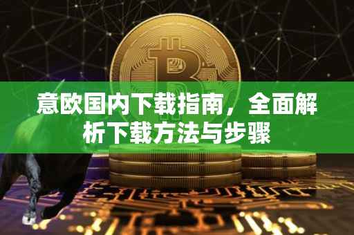 意欧国内下载指南，全面解析下载方法与步骤
