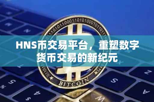 HNS币交易平台，重塑数字货币交易的新纪元