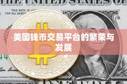 美国钱币交易平台的繁荣与发展