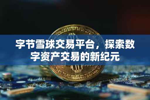 字节雪球交易平台，探索数字资产交易的新纪元