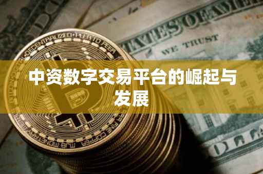 中资数字交易平台的崛起与发展