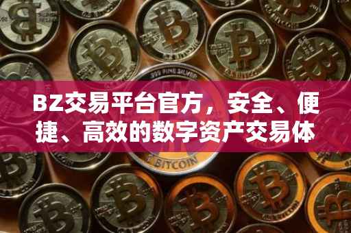 BZ交易平台官方，安全、便捷、高效的数字资产交易体验