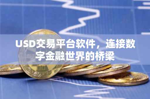 USD交易平台软件，连接数字金融世界的桥梁
