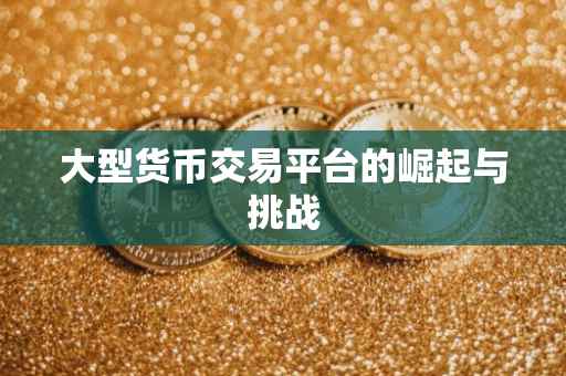大型货币交易平台的崛起与挑战