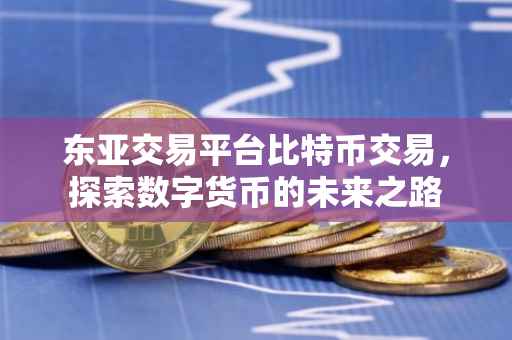 东亚交易平台比特币交易，探索数字货币的未来之路