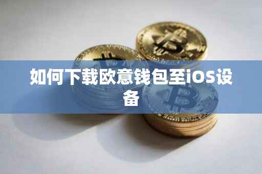 如何下载欧意钱包至iOS设备