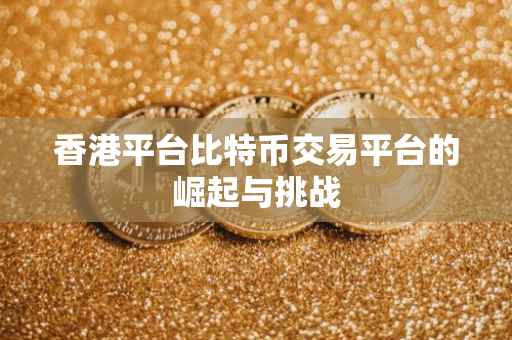 香港平台比特币交易平台的崛起与挑战