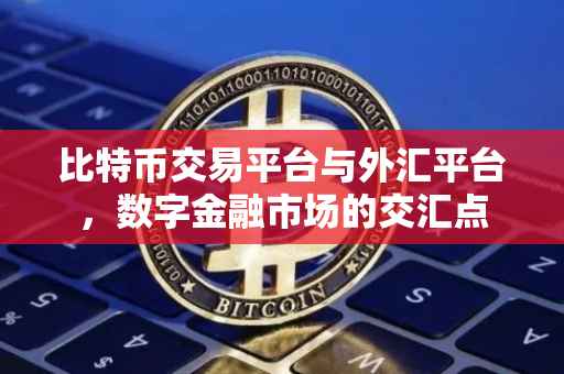 比特币交易平台与外汇平台，数字金融市场的交汇点