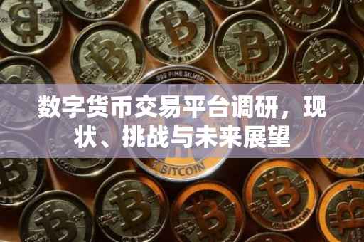数字货币交易平台调研，现状、挑战与未来展望