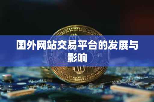 国外网站交易平台的发展与影响