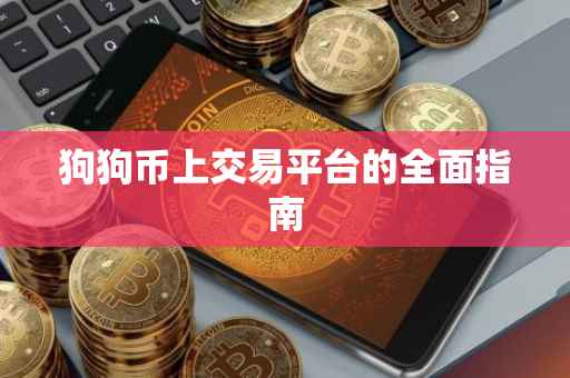 狗狗币上交易平台的全面指南