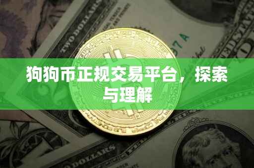 狗狗币正规交易平台，探索与理解