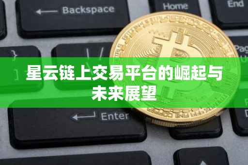 星云链上交易平台的崛起与未来展望
