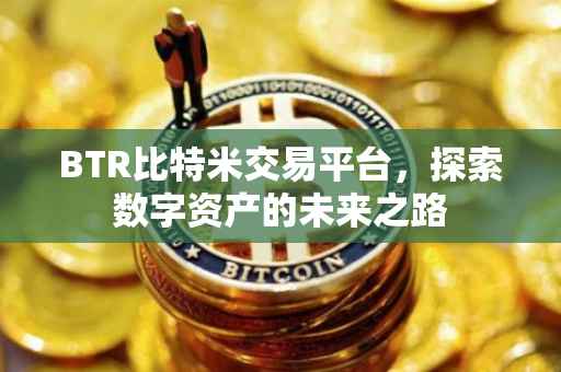 BTR比特米交易平台，探索数字资产的未来之路